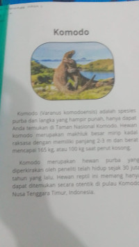 Image of kliping ; KOMODO