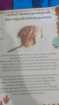 Image of kliping; CONTOH HEWAN PRASEJARAH DAN SEJARAH KEHIDUPANNYA