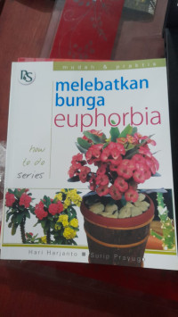 Image of Melebatkan bunga euphorbia