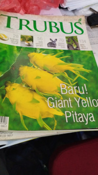 Image of MAJALAH TRUBUS 491 EDISI OKTOBER