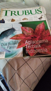Image of TRUBUS-EDISI 473-AGLAONEMA TERBAIK INDONESIA