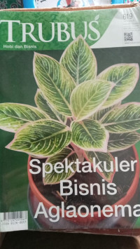 Image of MAJALAH TRUBUS 619 juni