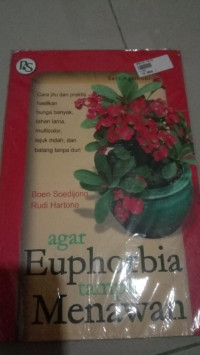 Image of Agar Euphorbia Tampil Menawan
