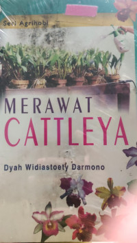 Image of MERAWAT CATTLEYA