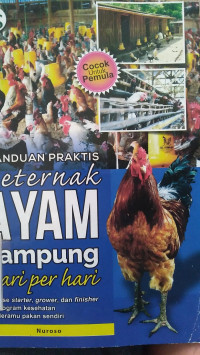 Image of Panduan Praktis Beternak Ayam Kampung hari per hari
