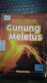 Image of Buku pintar mengenal bencana alam di Indonesia : gunung meletus