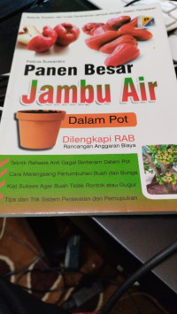 Image of PANEN BESAR JAMBU AIR DALAM POT
