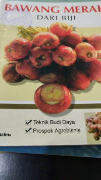 Image of Bawang merah dari biji