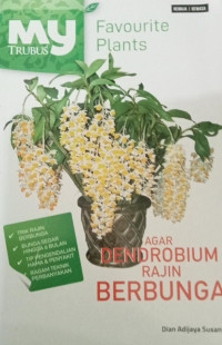 Image of Favourite plants Agar DENDROBORIUM Rajin Berbunga