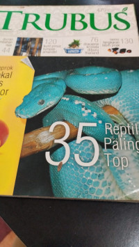 Image of 35 REPTIL PALING TOP