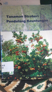 Image of TANAMAN STROBERI PENDULANG KEUNTUNGAN