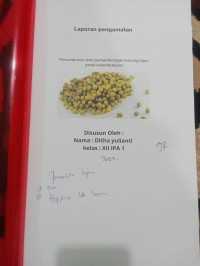 Image of PERTUMBUHAN DAN PERKEMBANGAN KACANG HIJAU PADA KELEMBAPAN