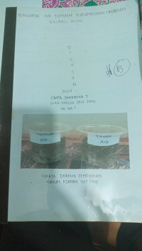 Image of Pengaruh Air Terhadap Pertumbuhan Tanaman Kacang Hijau