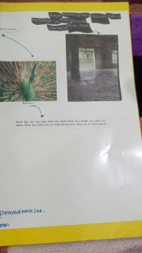 Image of Begini Kronologi dan  Tsunami