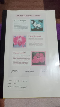 Image of 3 Bunga Nasional Indonesia
