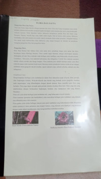 Image of Flora dan Fauna